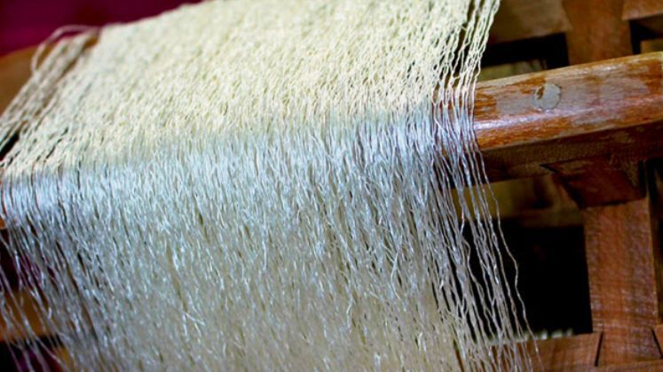 Nylon weavers in Surat urge assessment of QCO impact on nylon